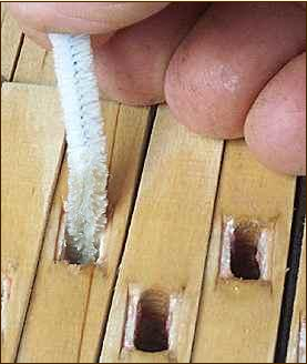Applying a thin glue primer coat with pipe cleaner
